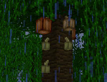 kakaowiec-minecraft-roslina-uprawa-hodowla